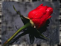 Life on earth is but a fleeting moment.  Live it, love it, give it, for eternity follows much too soon.